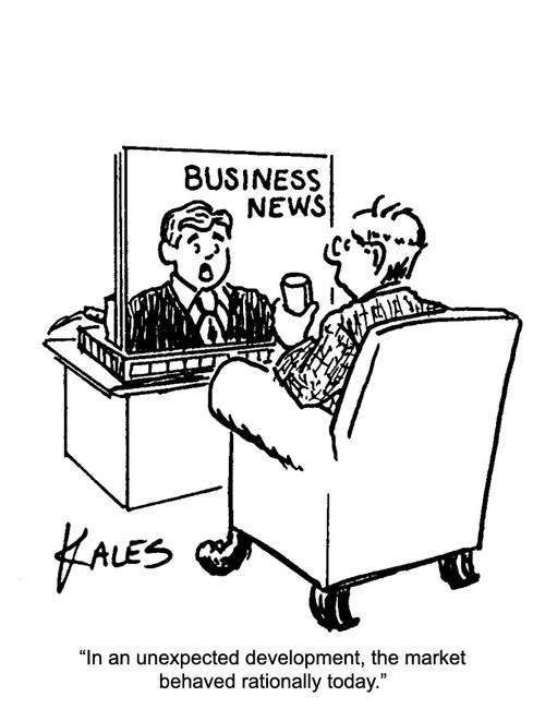 "In an unexpected development, the market behaved rationally today."