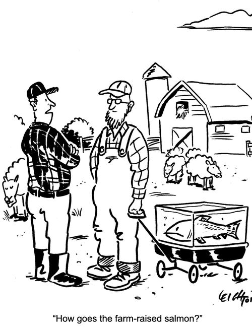 "How goes the farm-raised salmon?"