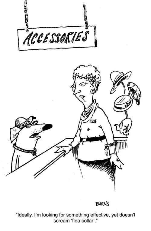 "Ideally, I'm looking for something effective, yet doesn't scream 'flea collar'."
