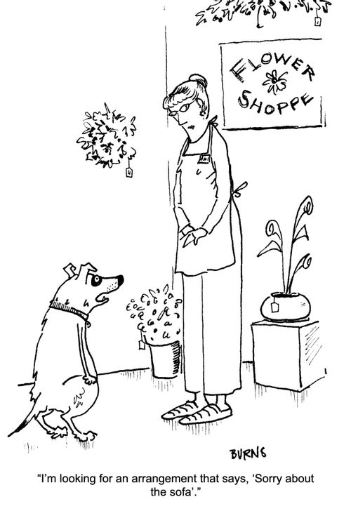 "I'm looking for an arrangement that says, 'Sorry about the sofa.'"