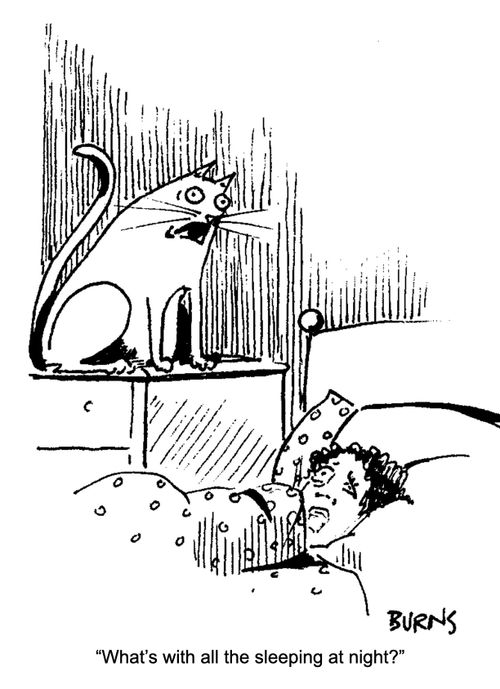 "What's with the sleeping at night?"
