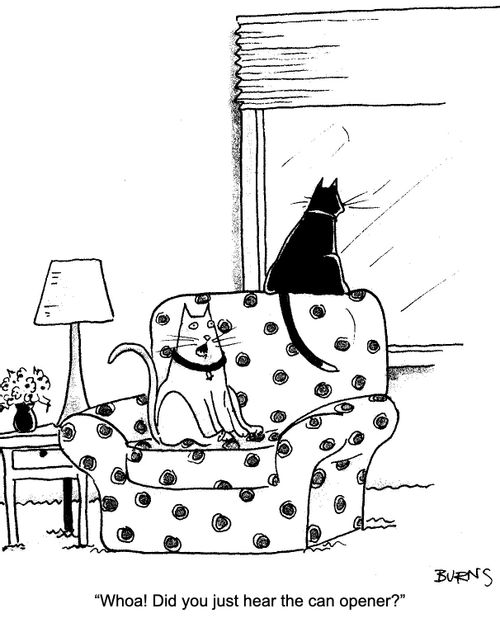 "Whoa! Did you just hear the can opener?"