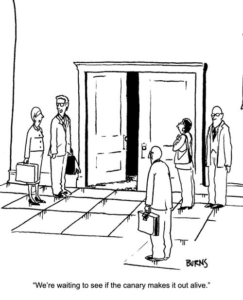 "We're waiting to see if the canary makes it out alive."