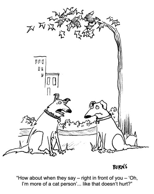 "How about when they say - right in front of you - 'Oh, I'm more of a cat person'... like that doesn't hurt?"