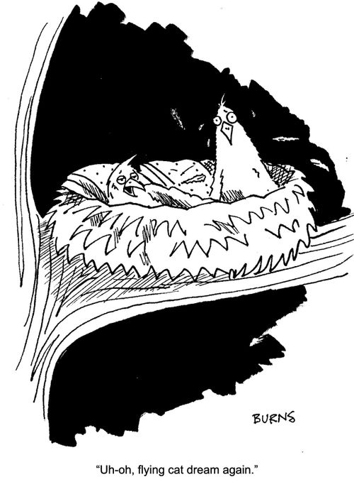 "Uh-oh, flying cat dream again."