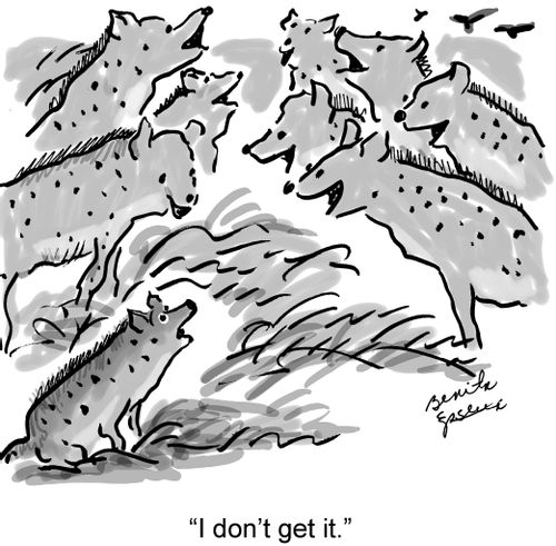 "I don't get it."