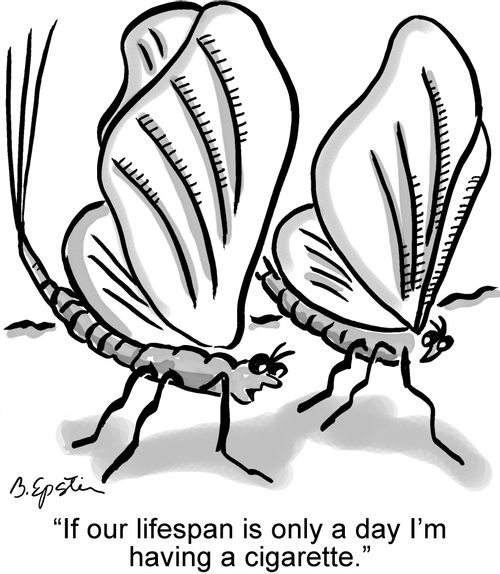 "If our lifespan is only a day I'm having a cigarette."