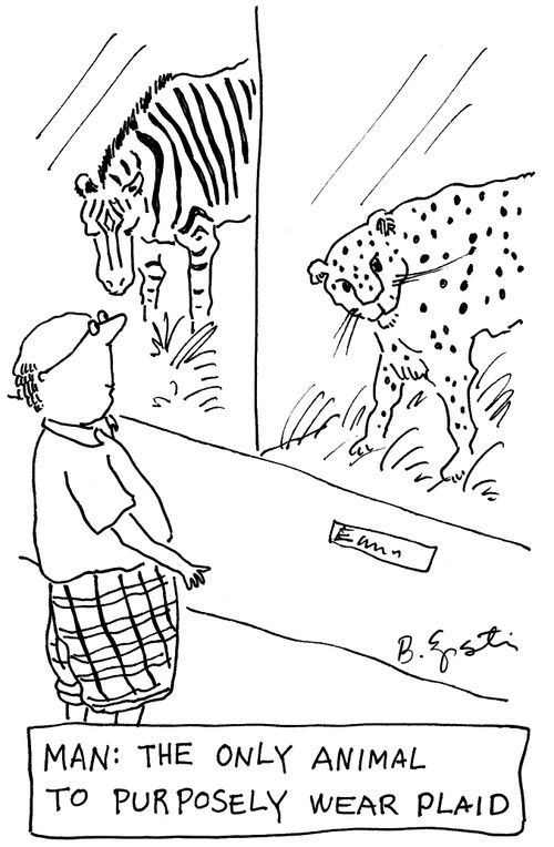 Man: The Only Animal To Purposely Wear Plaid