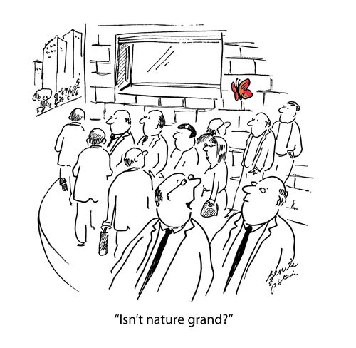 "Isn't nature grand?"
