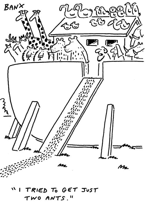 "I tried to get just two ants."