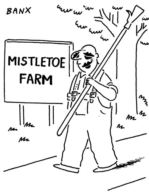 Mistletoe Farm