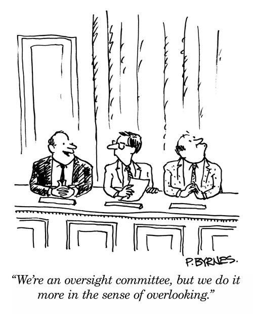 "We're an oversight committee, but we do it more in the sense of overlooking."