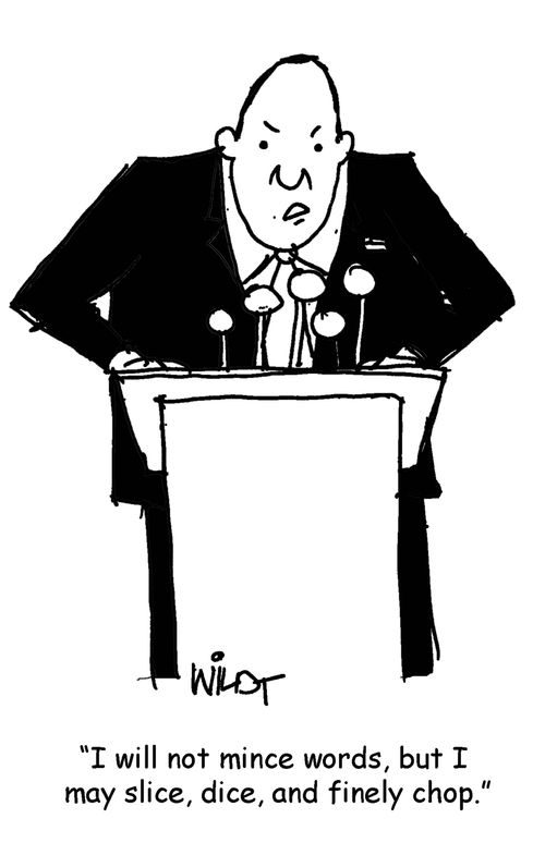 "I will not mince words, but may slice, dice, and finely chop."