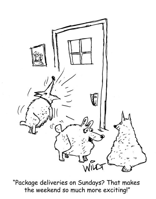 "Package deliveries on Sundays? That makes the weekend so much more exciting."