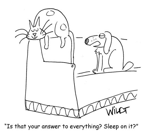 "Is that your answer to everything? Sleep on it?"