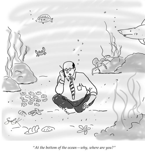 "At the bottom of the ocean – why, where are you?"