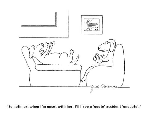 "Sometimes, when I'm upset with her, I'll have a 'quote; accident 'unquote'."