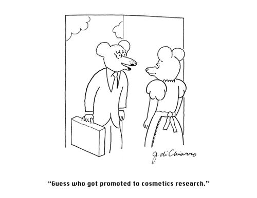 "Guess who got promoted to cosmetics research."