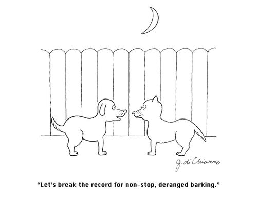 "Let's break the record for non-stop deranged barking."
