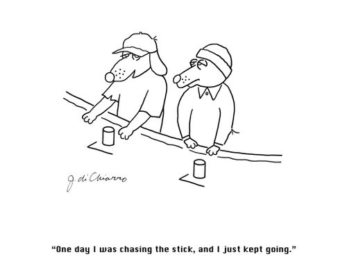 "One day I was chasing the stick, and I just kept going."