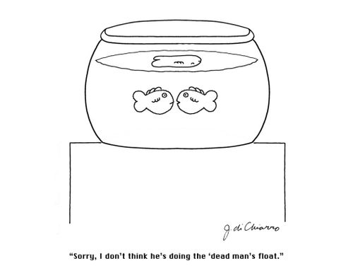 "Sorry, I don't think he's doing the 'dead man's float'."