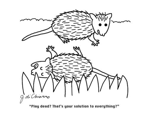 "Play dead? That's your solution to everything?"