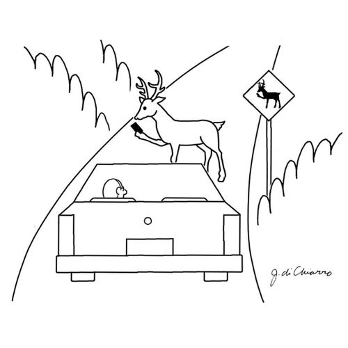 Deer crossing the road holding a mobile phone.