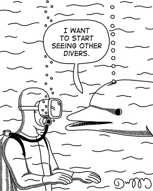 "I want to start seeing other divers."