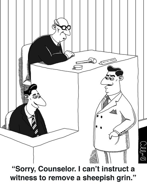 "Sorry, Counselor. I can't instruct a witness to remove a sheepish grin."