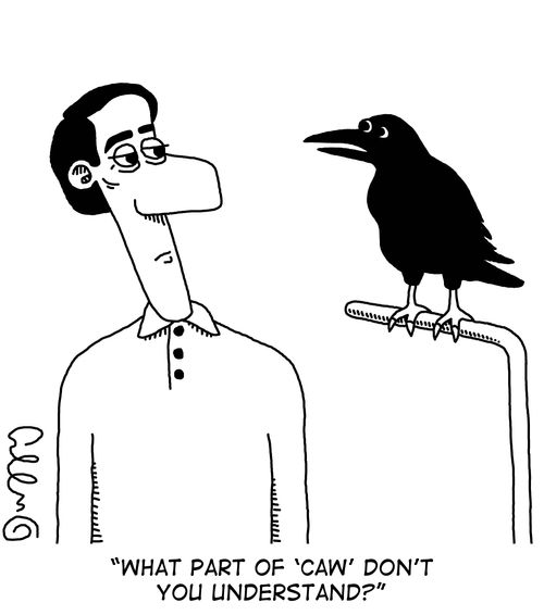 "What part of 'Caw' can't you understand?"