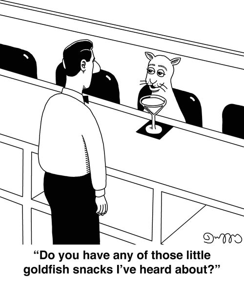 "Do you have any of those little goldfish snacks I've heard about?"