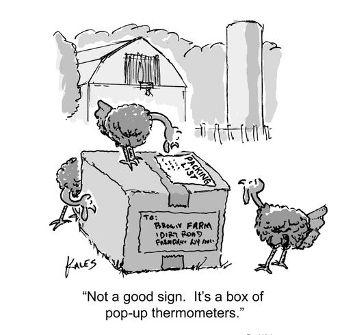 "Not a good sign. It's a box of pop-up thermometers."