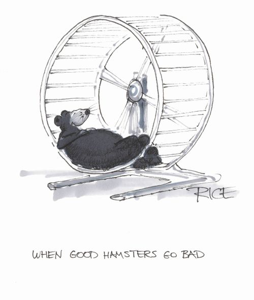 "When good hamsters go bad."