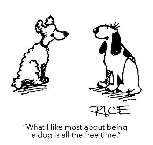 "What I like most about being a dog is all the free time."