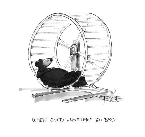 When good hamsters go bad