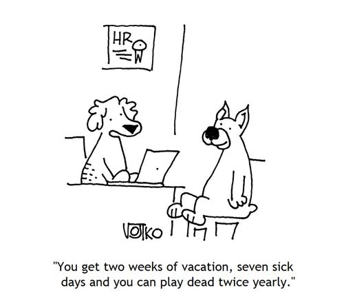 "You get two weeks of vacation, seven sick days and you can play dead twice yearly."