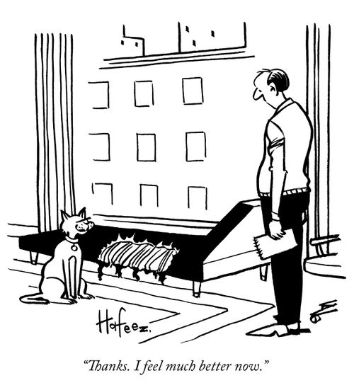 "Thanks. I feel much better now."