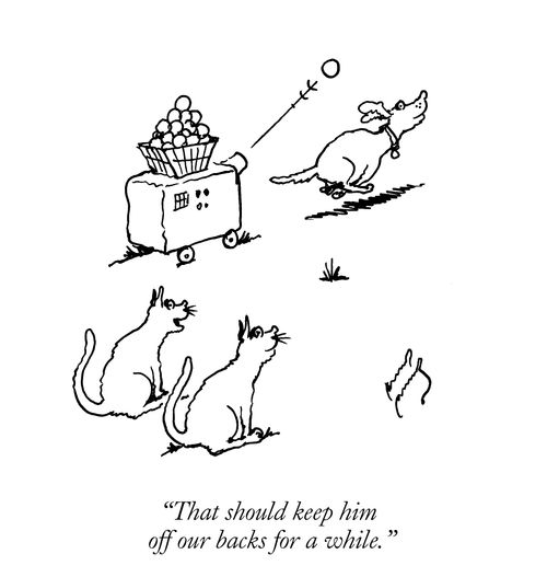 "That should keep him off our backs for a while."