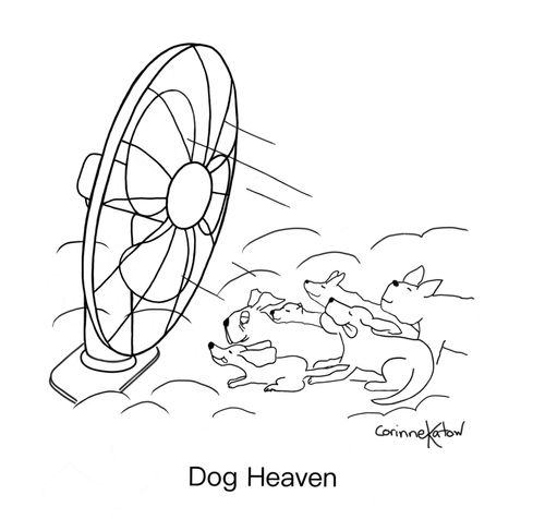 Dog Heaven
