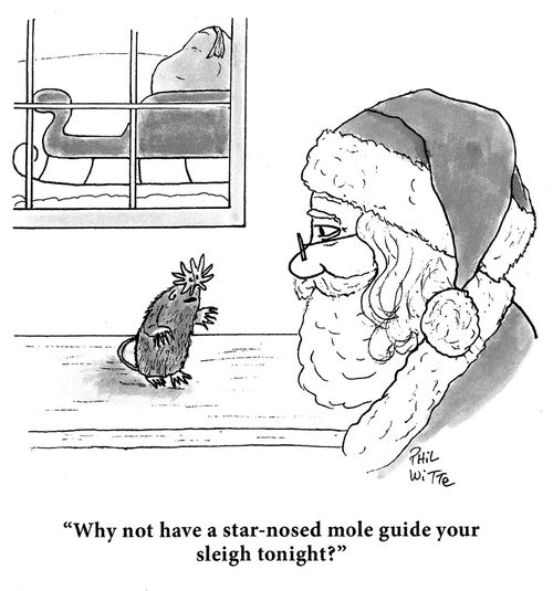 "Why not have a star-nosed mole guide your sleigh tonight?"