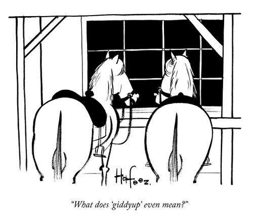 "What does 'giddyup' even mean?"