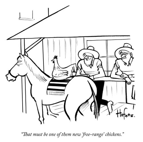 "That must be one of them new 'free-range' chickens."