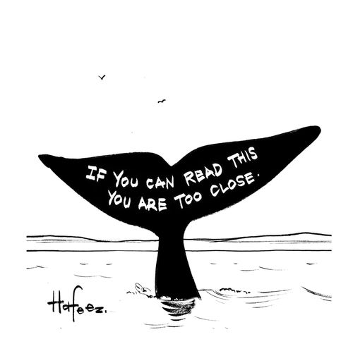 If you can read this you are too close