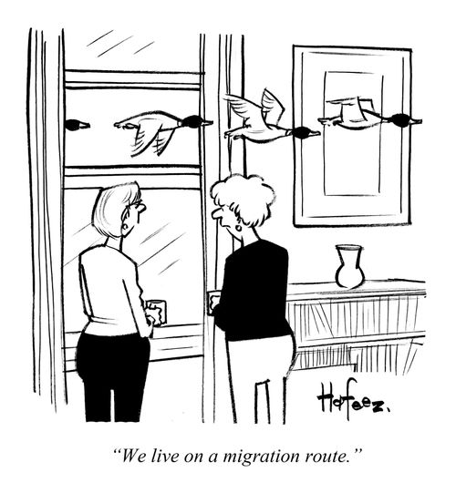 "We live on a migration route."