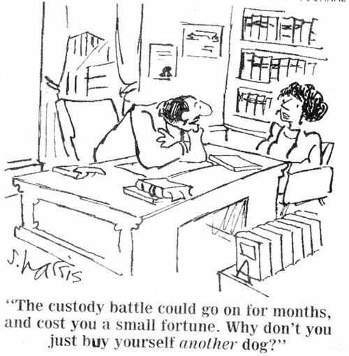 "The custody battle could go on for months, and cost you a small fortune. Why don't you just buy yourself ANOTHER dog?"