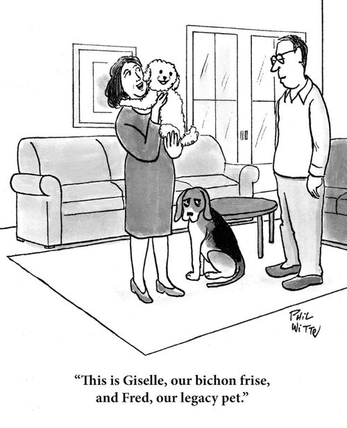 This is Giselle, our bichon frise, and Fred, our legacy pet.""This is Giselle, our bichon frise, and Fred, our legacy pet."