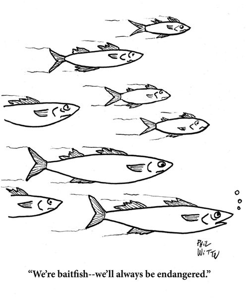"We're baitfish -- we'll always be endangered."