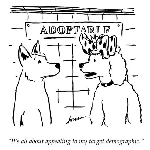 "It's all about appealing to my target demographic."