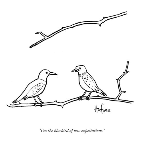 "I'm the bluebird of low expectations."