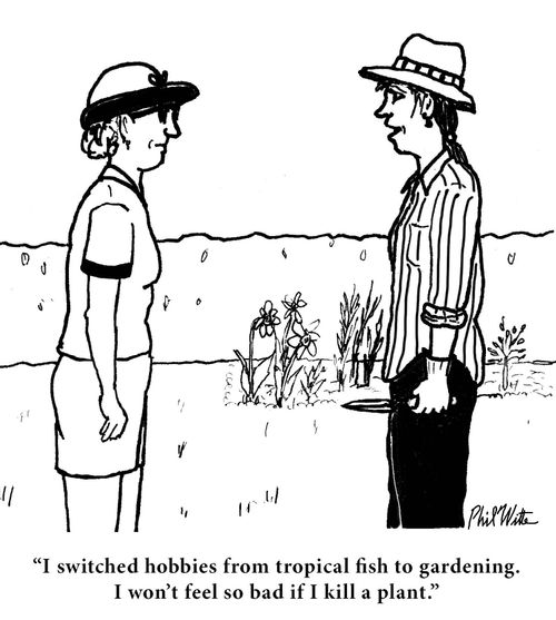 "I switched hobbies from tropical fish to gardening. I won't feel so bad if I kill a plant."
